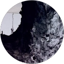 Edita Z. profile picture